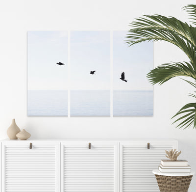 Three Birds - Multi piece wall art by Cattie Coyle Photography above dresser