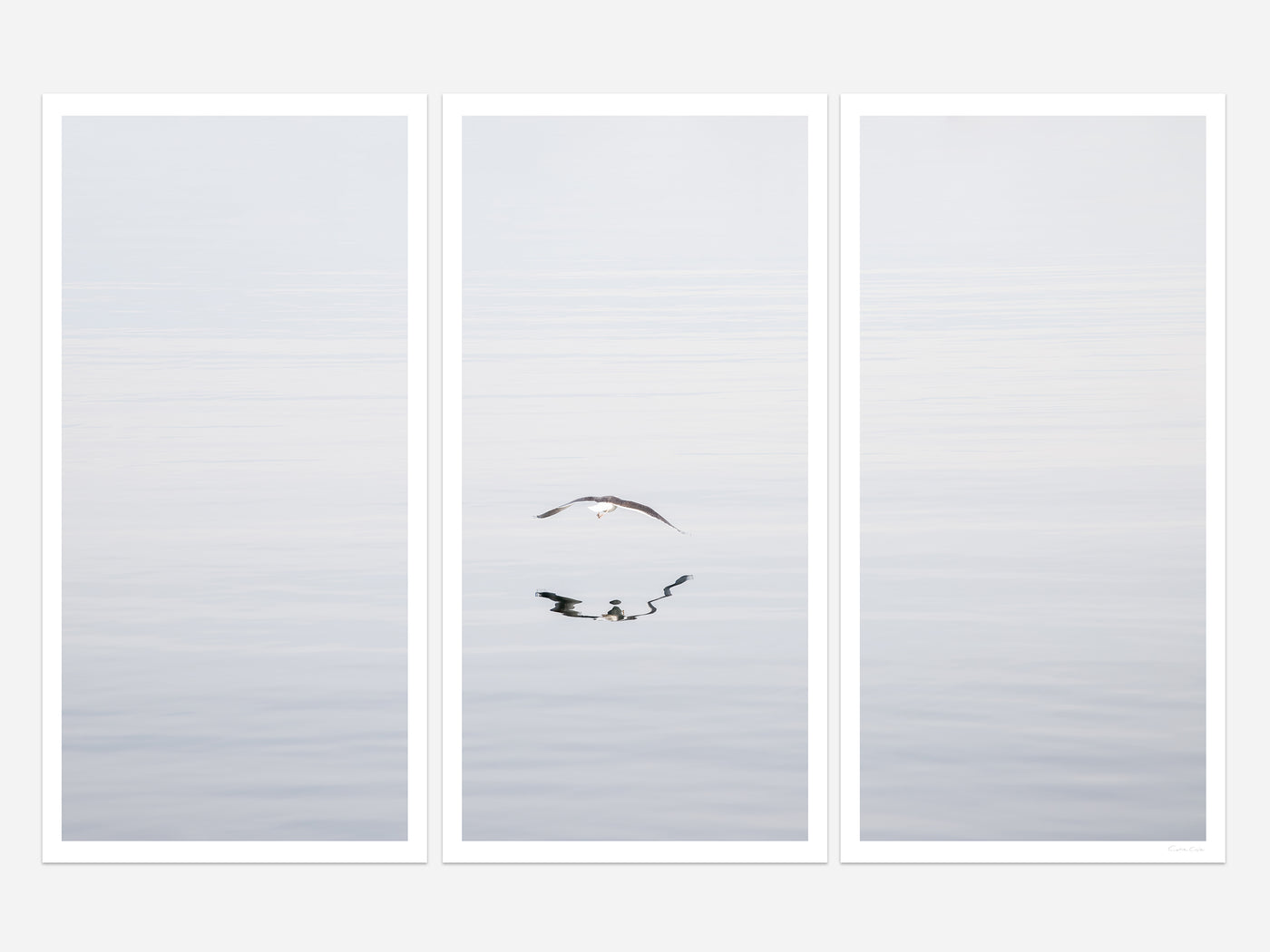 Early Morning Flight - 3 piece art set by Cattie Coyle Photography