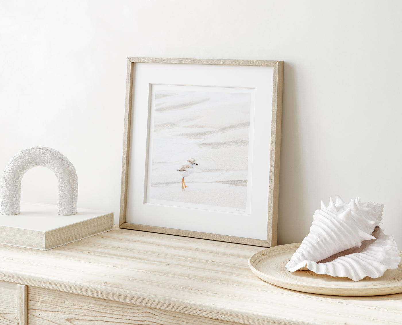 Piping Plover Chick No 3 - Framed shorebird art print by Cattie Coyle Photography on dresser