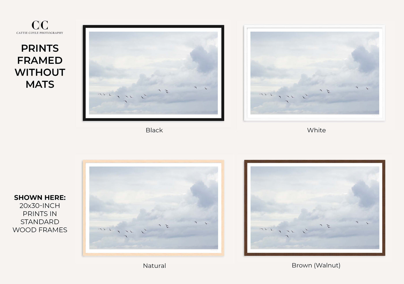 Flying birds art prints by Cattie Coyle Photography framed without mats