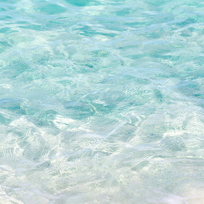 Open Edition Fine Art Prints