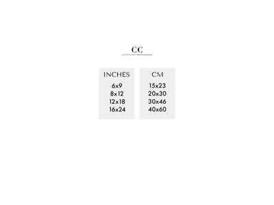 Inches to cm conversion chart | Cattie Coyle Photography