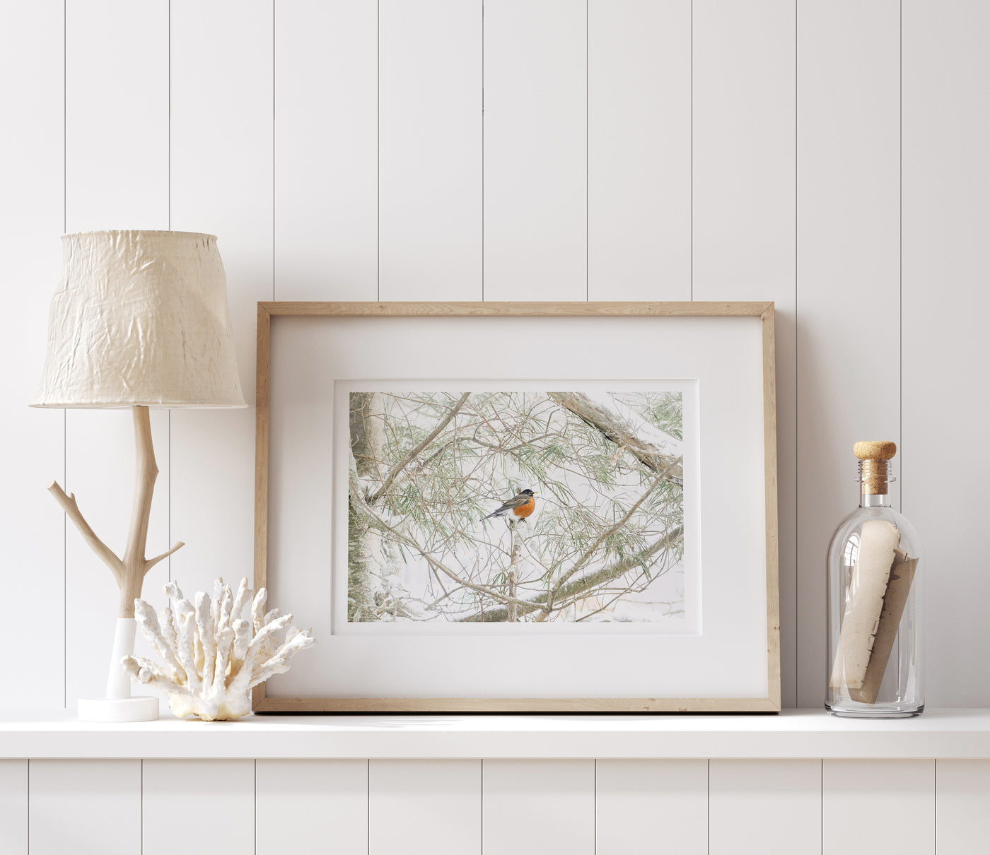 American Robin art print by Cattie Coyle Photography
