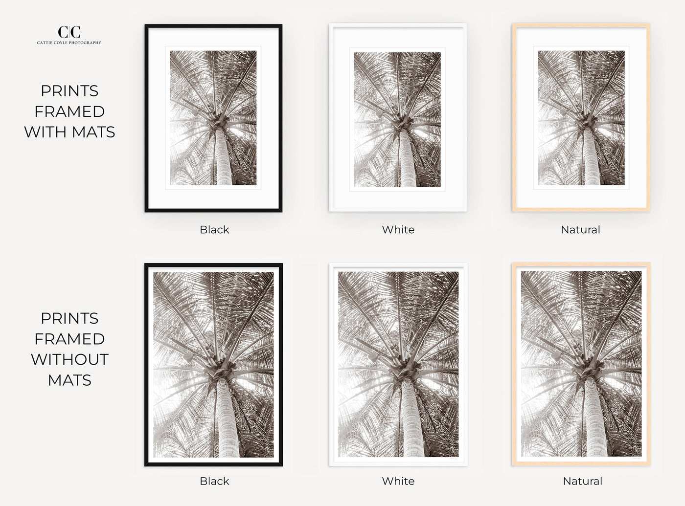 Framed palm tree wall art by Cattie Coyle Photography