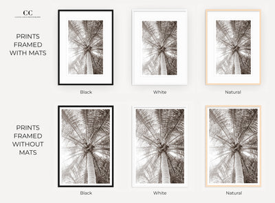 Framed palm tree wall art by Cattie Coyle Photography