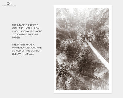 Black and white palm trees art prints by Cattie Coyle Photography
