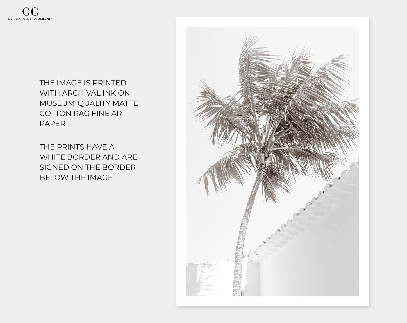 Black and white wall art by Cattie Coyle Photography: Future Memories