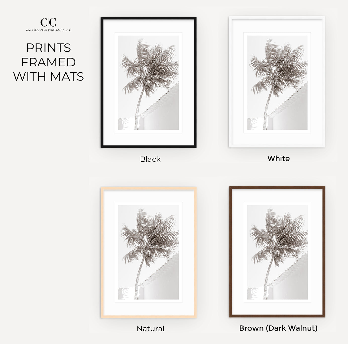Black and white wall art by Cattie Coyle Photography framed with mats