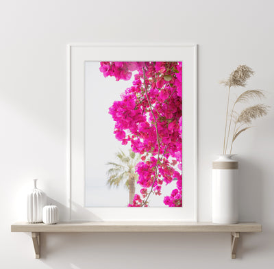 Pink wall art by Cattie Coyle Photography on shelf