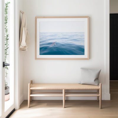 Dolphin wall art by Cattie Coyle Photography in entryway