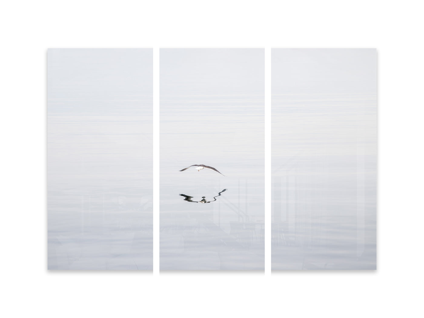 Early Morning Flight - 3 piece set wall art by Cattie Coyle Photography