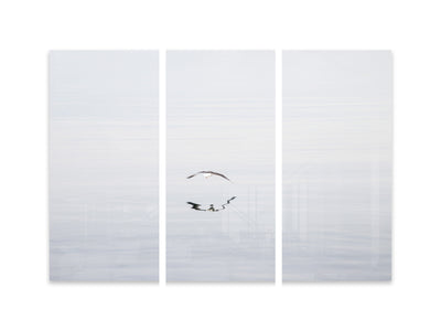 Early Morning Flight - 3 piece set wall art by Cattie Coyle Photography