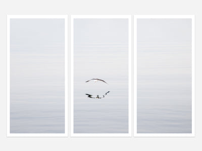 Early Morning Flight - 3 piece art set by Cattie Coyle Photography