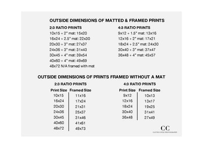 Framed art sizes | Cattie Coyle Photography