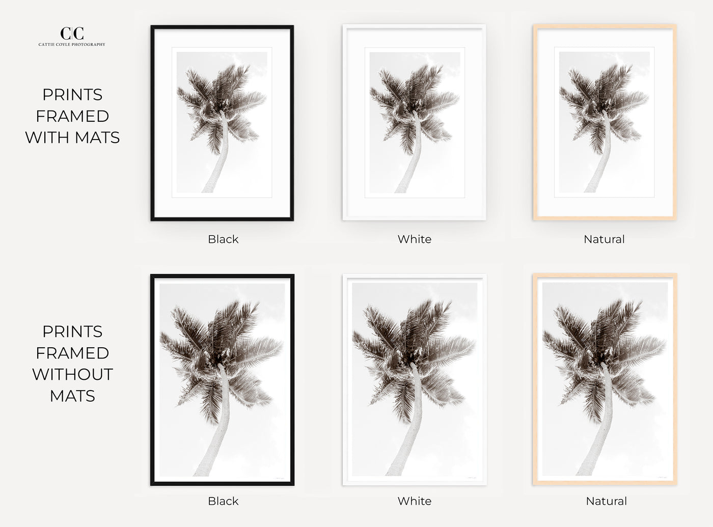 Framed black and white palm tree art prints by Cattie Coyle Photography