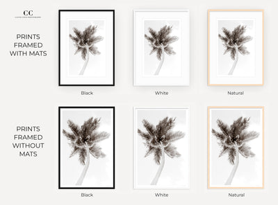 Framed black and white palm tree art prints by Cattie Coyle Photography