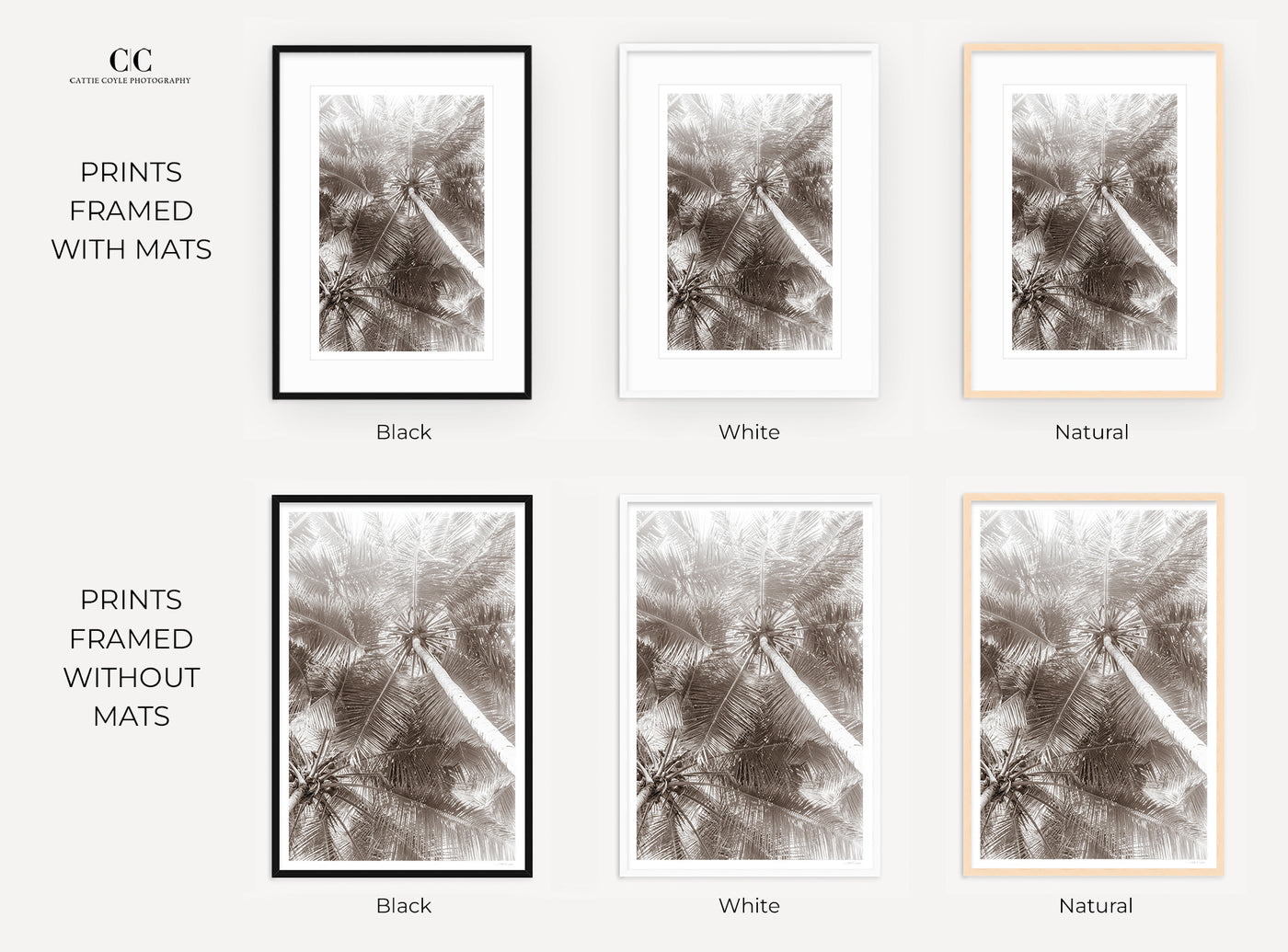 Framed black and white palm trees art prints by Cattie Coyle Photography