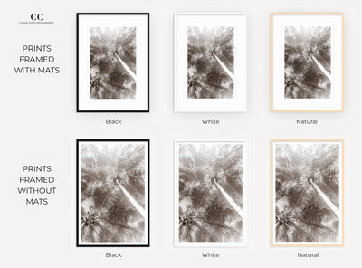 Framed black and white palm trees art prints by Cattie Coyle Photography