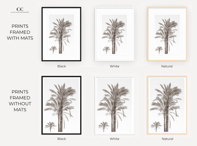 Framed black and white palm trees print by Cattie Coyle Photography