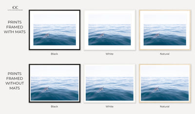 Framed dolphin wall art by Cattie Coyle Photography