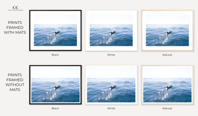 Framed dolphins art prints by Cattie Coyle Photography