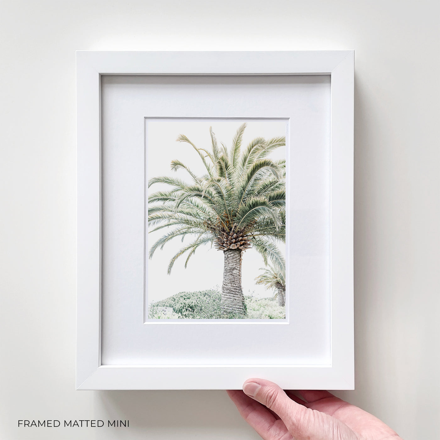 Framed palm tree art print by Cattie Coyle Photography