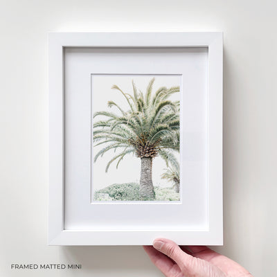 Framed palm tree art print by Cattie Coyle Photography