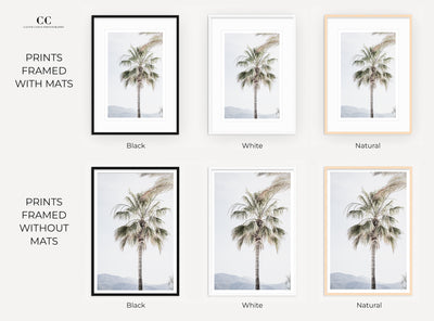 Framed palm tree print by Cattie Coyle Photography