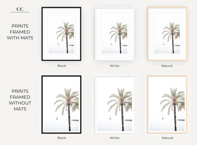 Framed palm tree wall art by Cattie Coyle Photography