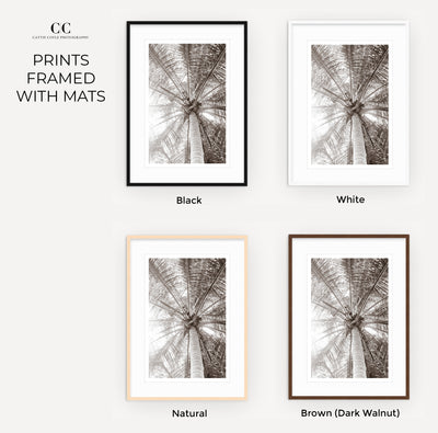 Palm tree wall art by Cattie Coyle Photography framed with mats