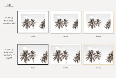 Framed palm trees art prints by Cattie Coyle Photography