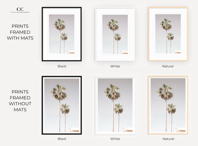 Framed palm Trees wall art by Cattie Coyle Photography