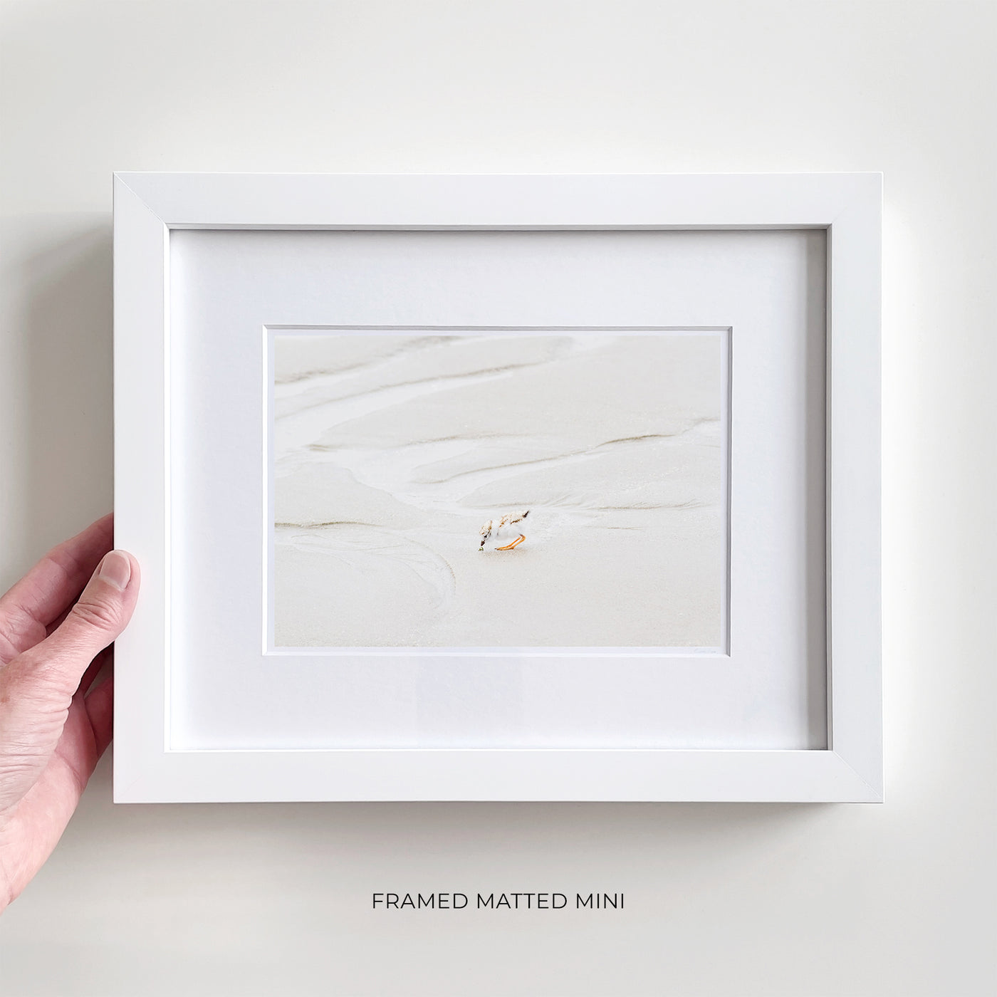 Framed shore bird art print by Cattie Coyle Photography