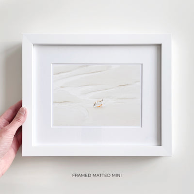 Framed shore bird art print by Cattie Coyle Photography