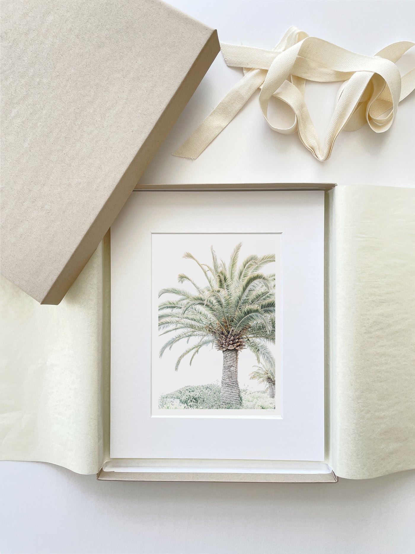 Palm tree art print by Cattie Coyle Photography in gift box