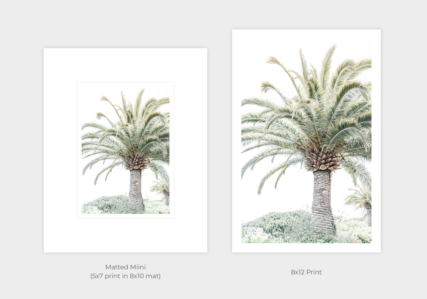 Palm tree art prints by Cattie Coyle Photography