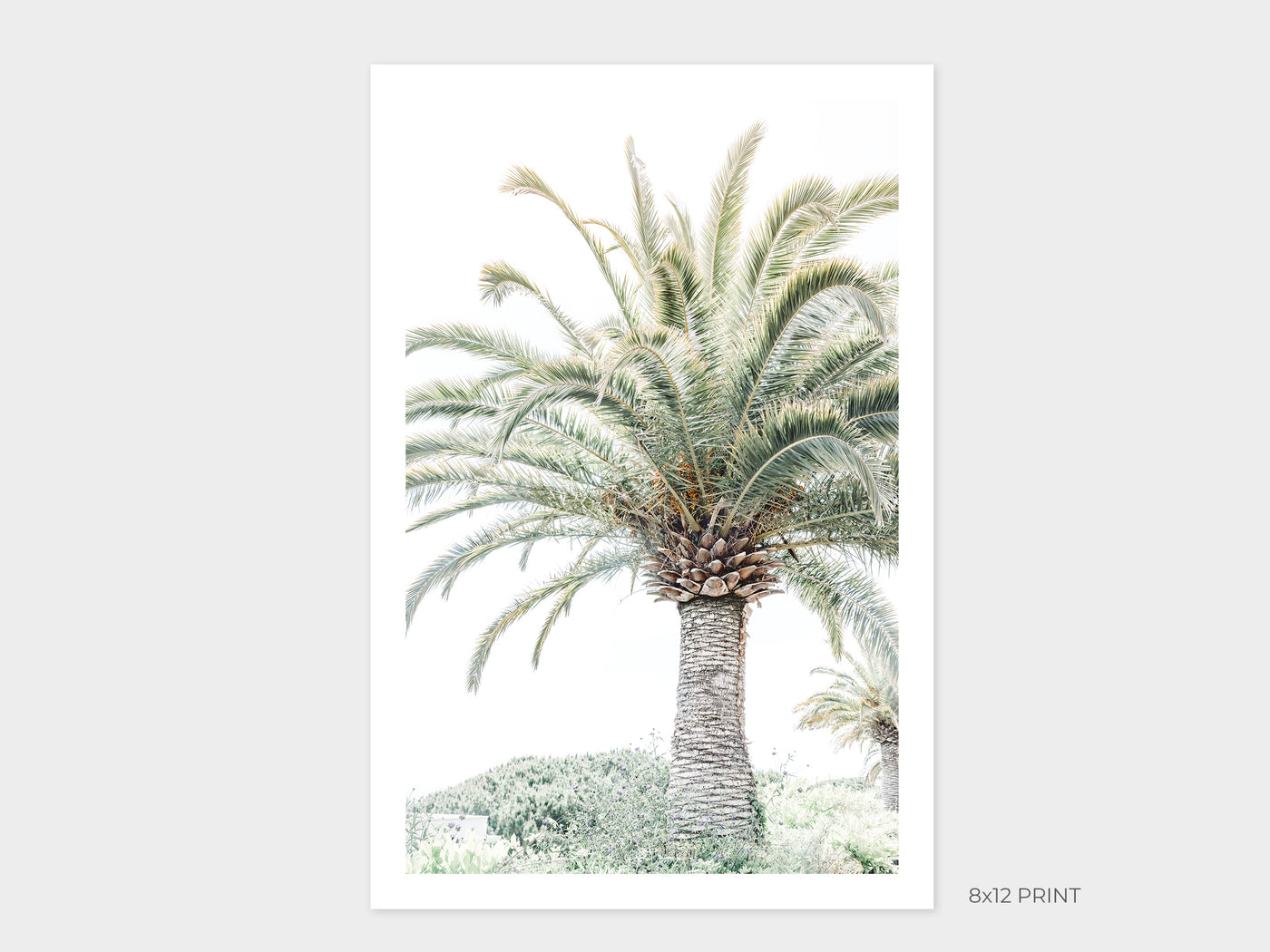 Palm tree art print by Cattie Coyle Photography