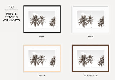 Palm trees art print by Cattie Coyle Photography framed with mats