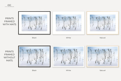 Reflections No 2 - Framed lake wall art by Cattie Coyle Photography. All rights reserved.