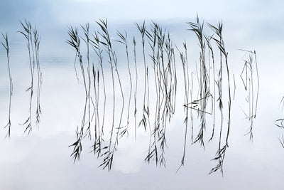 Reflections No 2 - Lake wall art by Cattie Coyle Photography