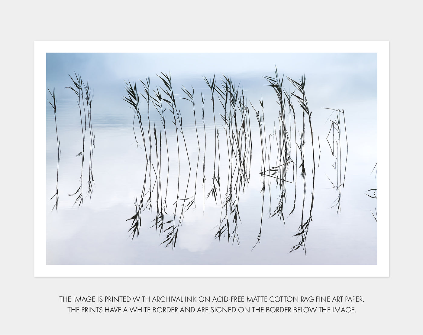 Reflections No 2 - Lake wall art by Cattie Coyle Photography