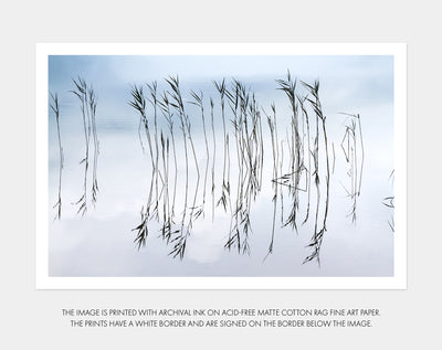 Reflections No 2 - Lake wall art by Cattie Coyle Photography