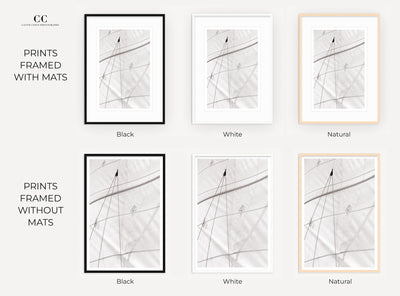 Sailing No 3 - Framed black and white photography art prints by Cattie Coyle Photography
