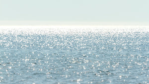 Sun Glitter - Fine art print by Cattie Coyle Photography