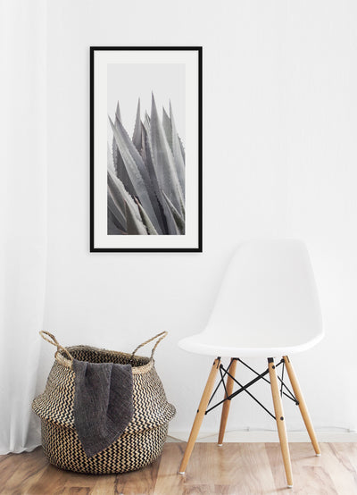 Agave Americana - Art print by Cattie Coyle Photography