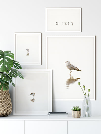 Birds gallery wall - 4 piece framed art set by Cattie Coyle Photography