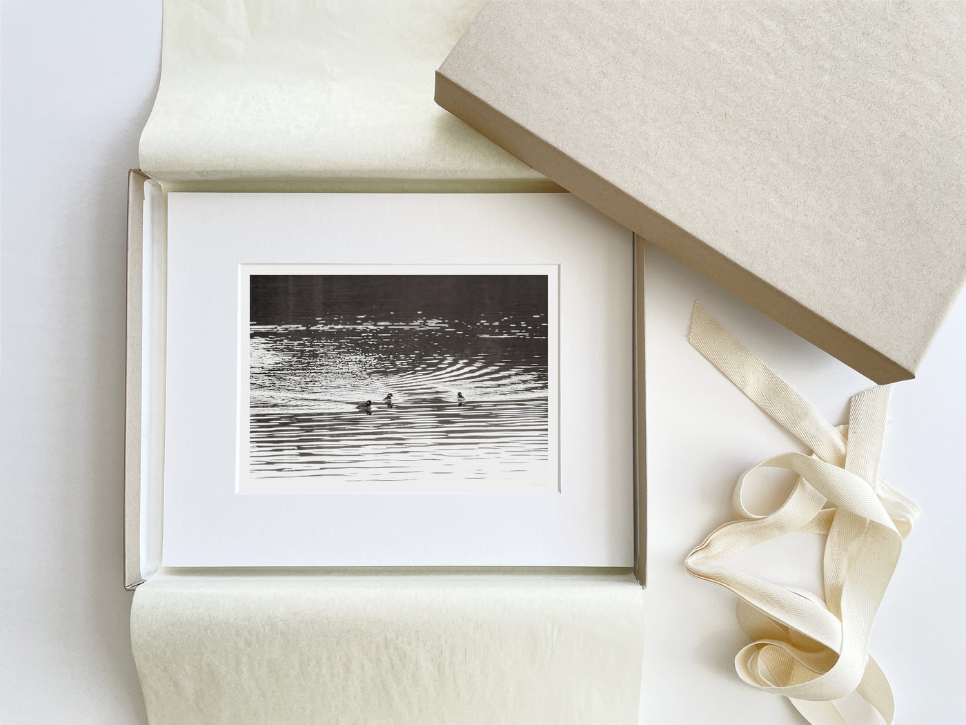 Bufflehead Ducks - Boxed gift fine art print by Cattie Coyle Photography