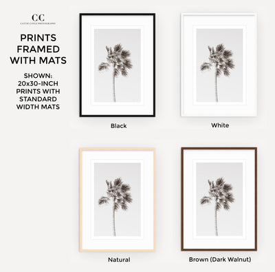 California Palm Tree – Framed black and white fine art prints by Cattie Coyle Photography