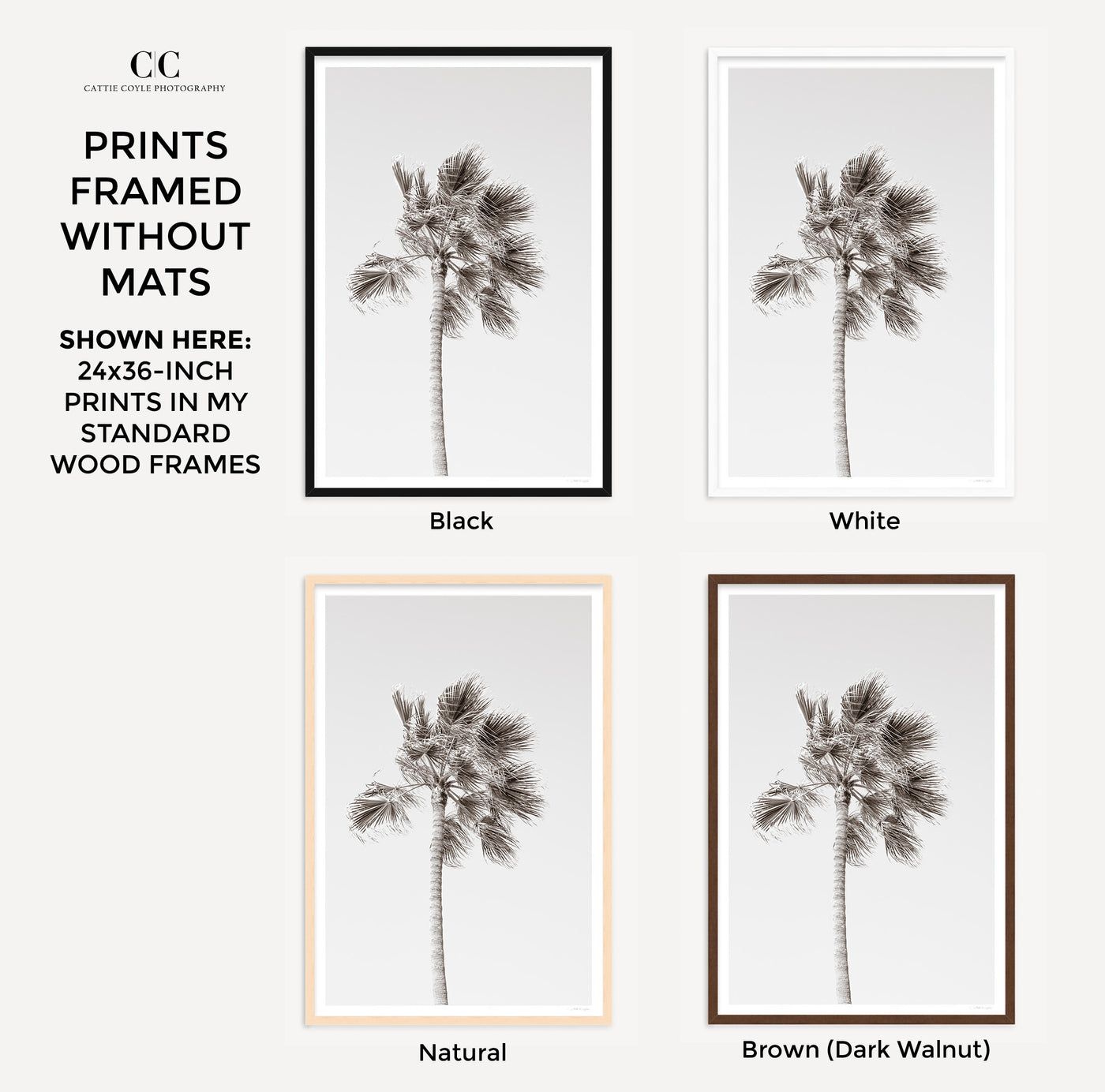 California Palm Tree – Framed black and white fine art prints by Cattie Coyle Photography