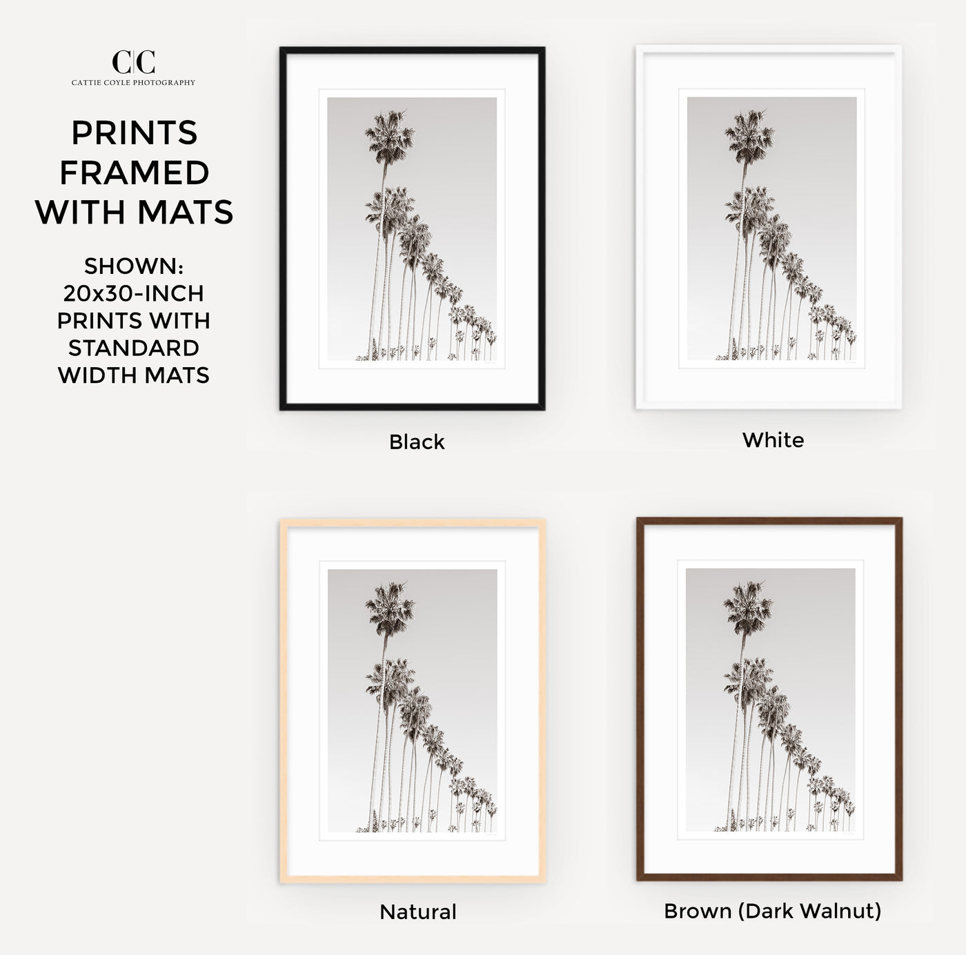 Palm Trees – Framed black and white fine art prints by Cattie Coyle Photography